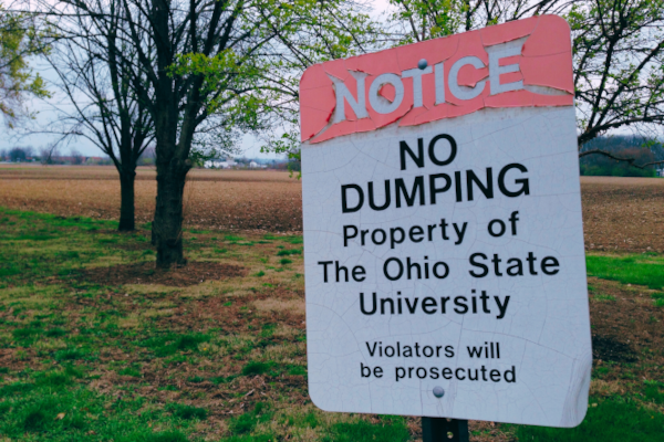 How Ohio State U. Successfully Trademarked the Word 'THE'